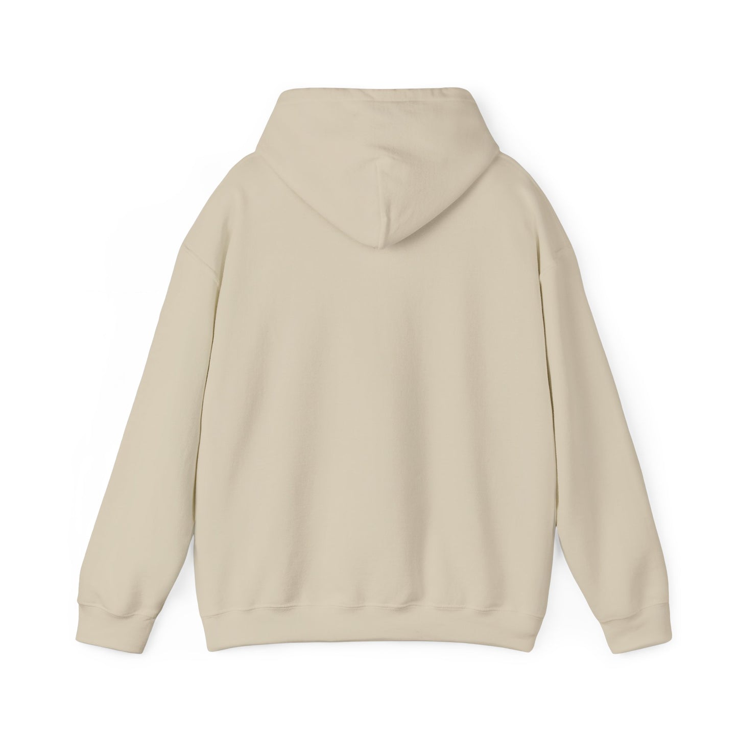 KAROL MSB - Hooded Sweatshirt